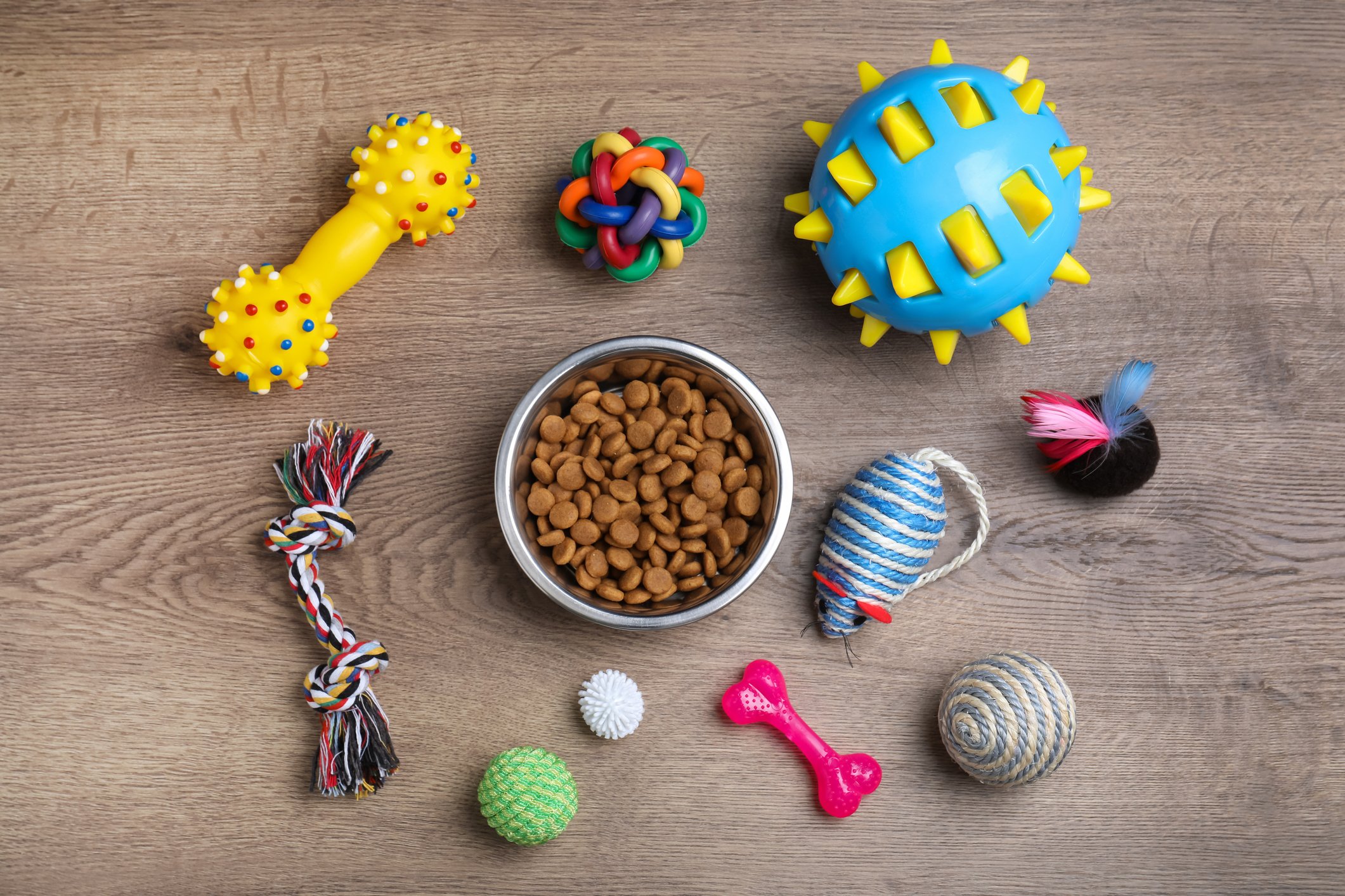 An assortment of pet products