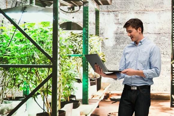 Man with laptop in indoor grow operation