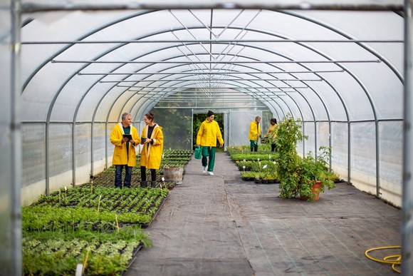 Several people working in a greenhouse.