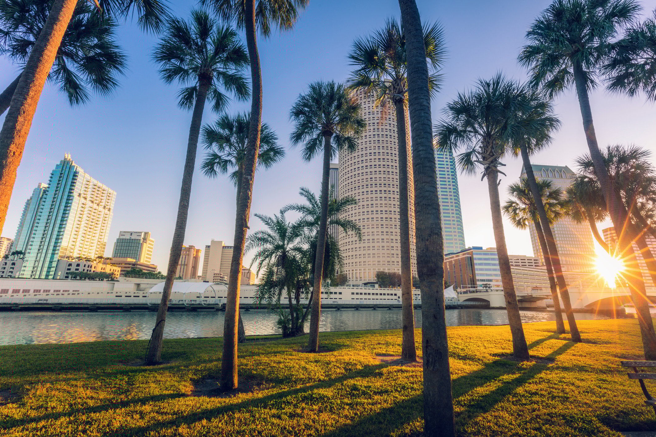 Tampa skyline through palm trees and across water.
