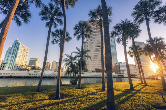 Tampa skyline through palm trees and across water.