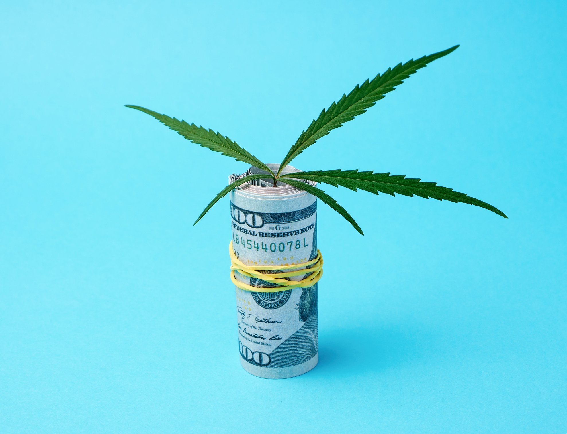 A cannabis leaf on top of a roll of $100 bills.
