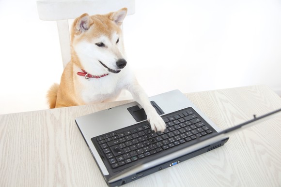 A Shiba Inu dog using a computer.