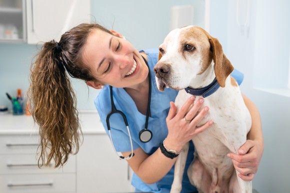 Vet holding a dog.