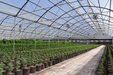 GettyImages-1203848612