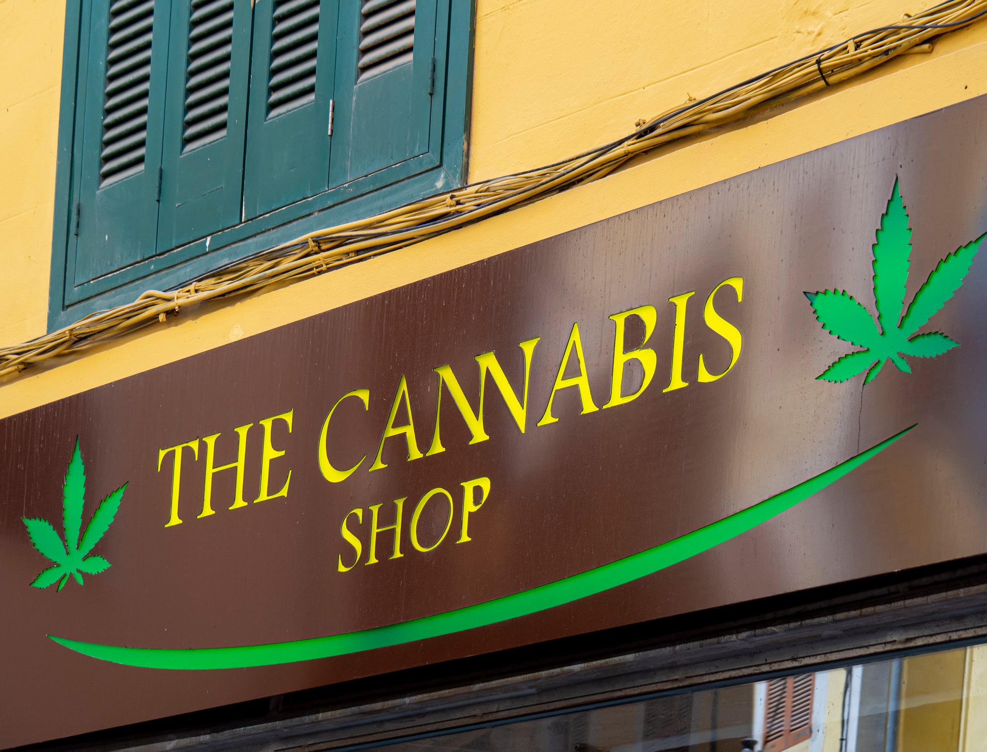 cannabis store 