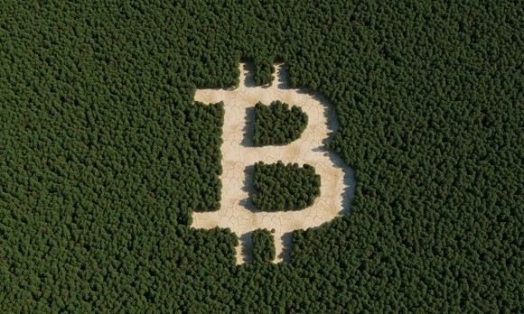 Bitcoin symbol in a field of trees.