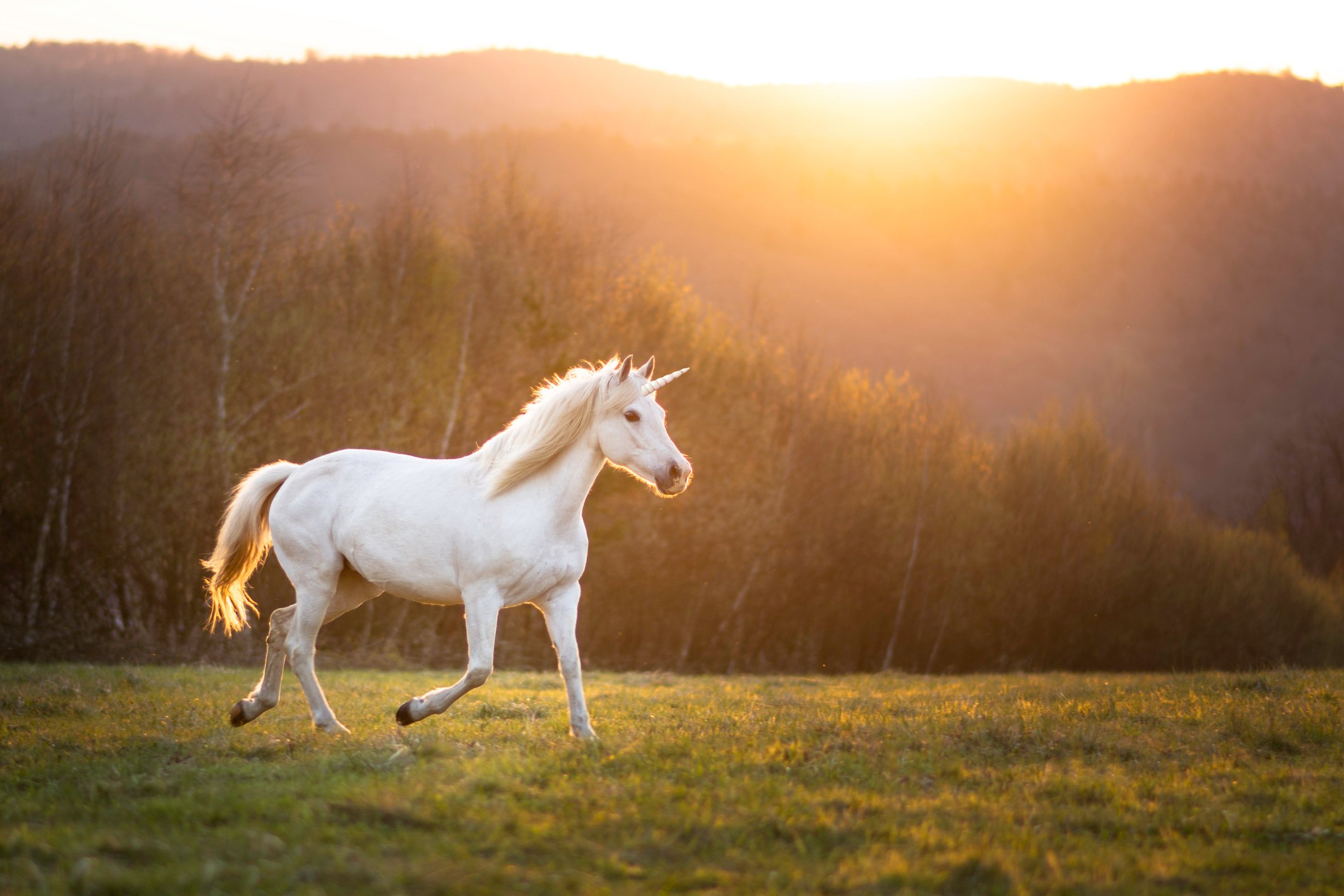Unicorn running on open field in front of mountains at sunset.