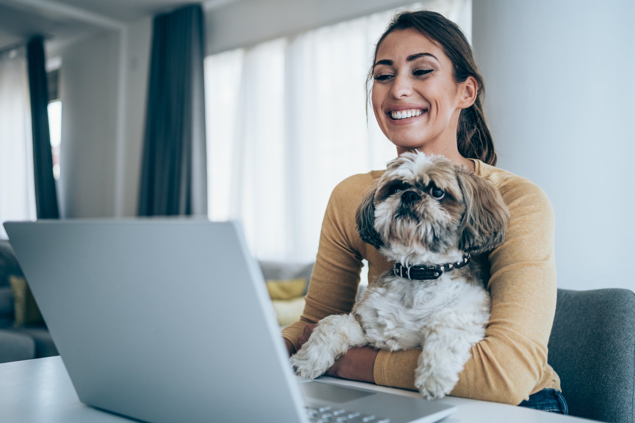 A person holding a dog while using a laptop.