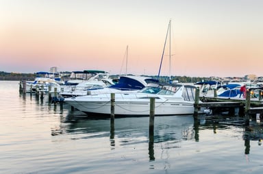 boats in a marina
