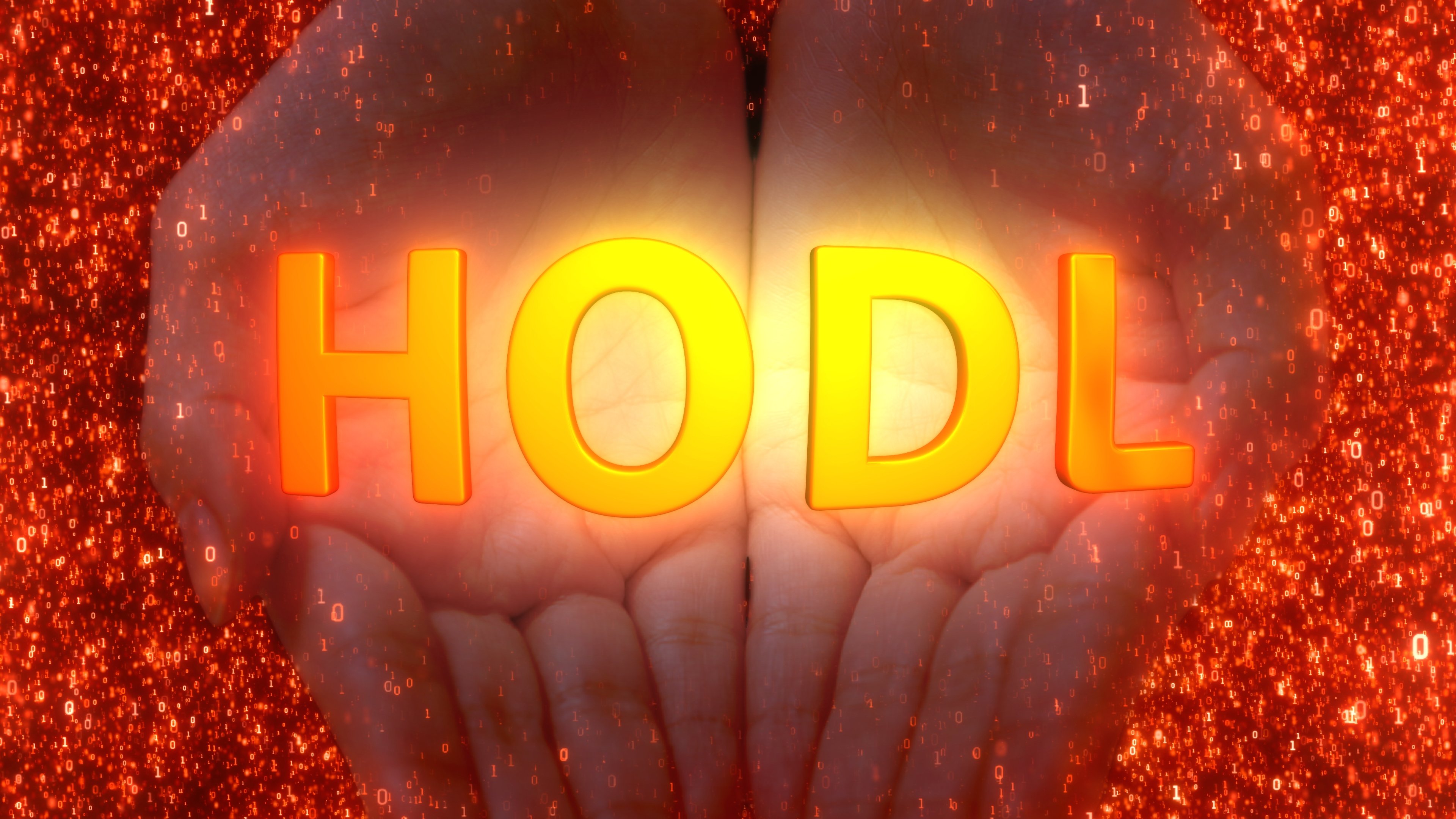 The letters "HODL" overlayed on the palms of outstretched hands.