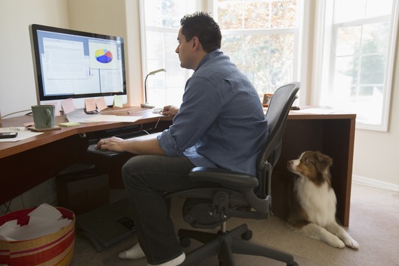A person sitting in an office chair and working on a computer as a dog sits under the desk. 