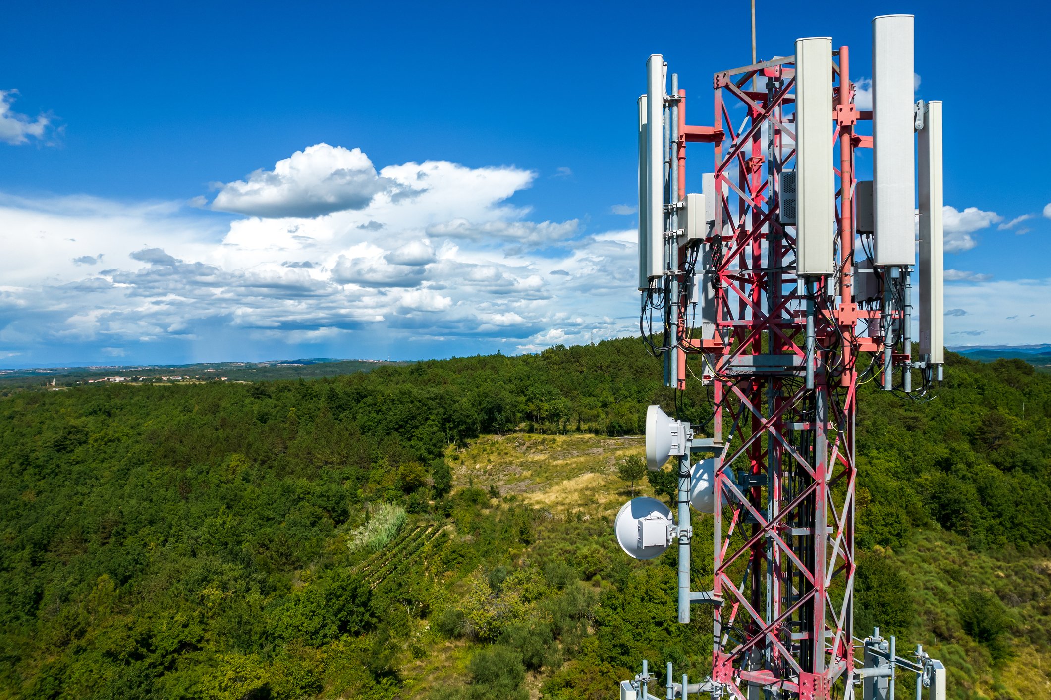 Cell phone communications tower over trees.