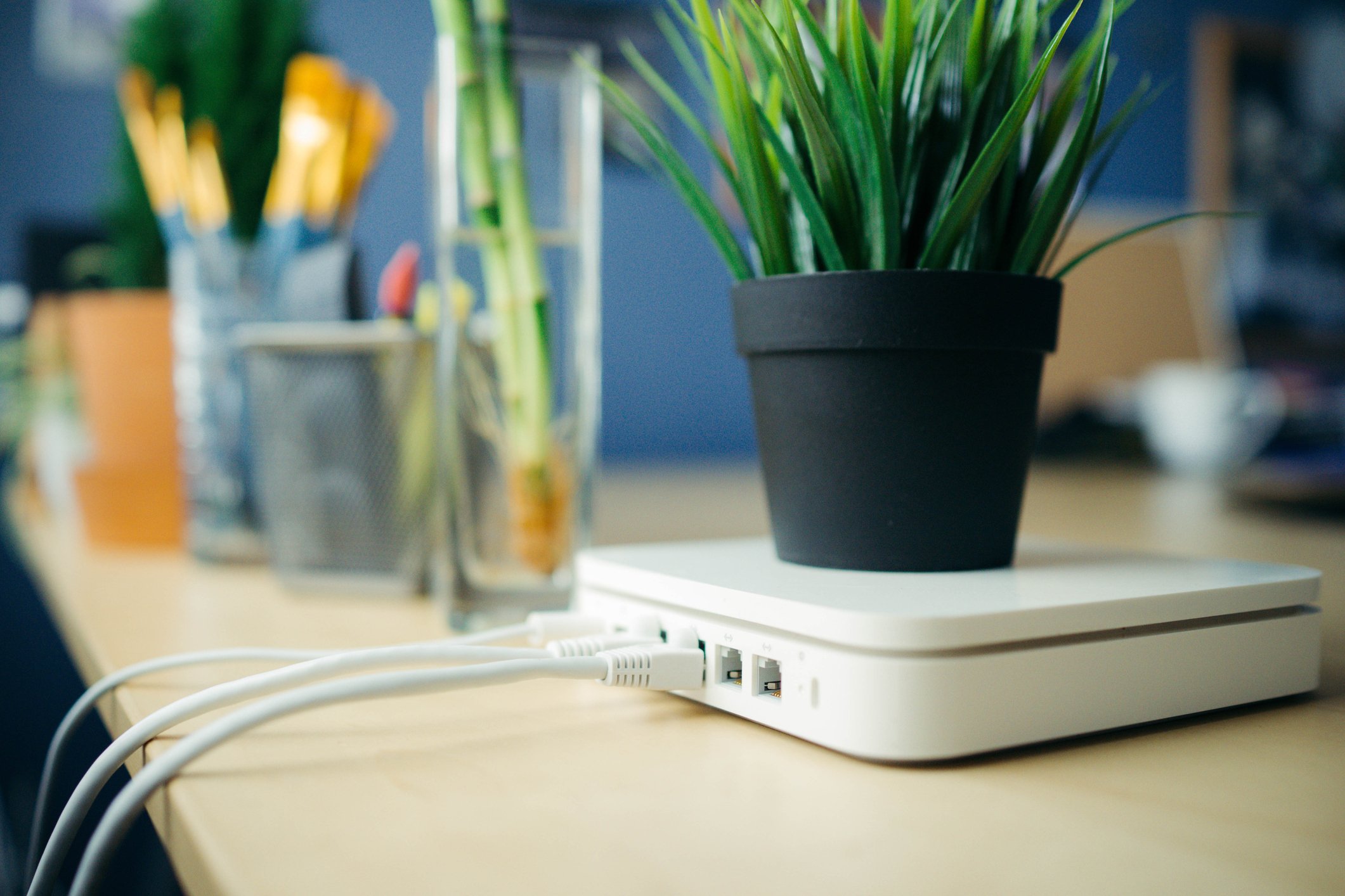 A network router sitting on a desk, with a small potted plant on top of it. 