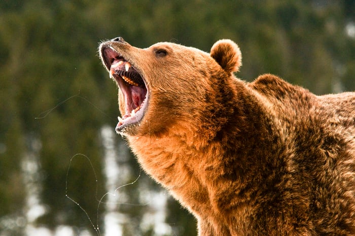 A growling bear in a forest.