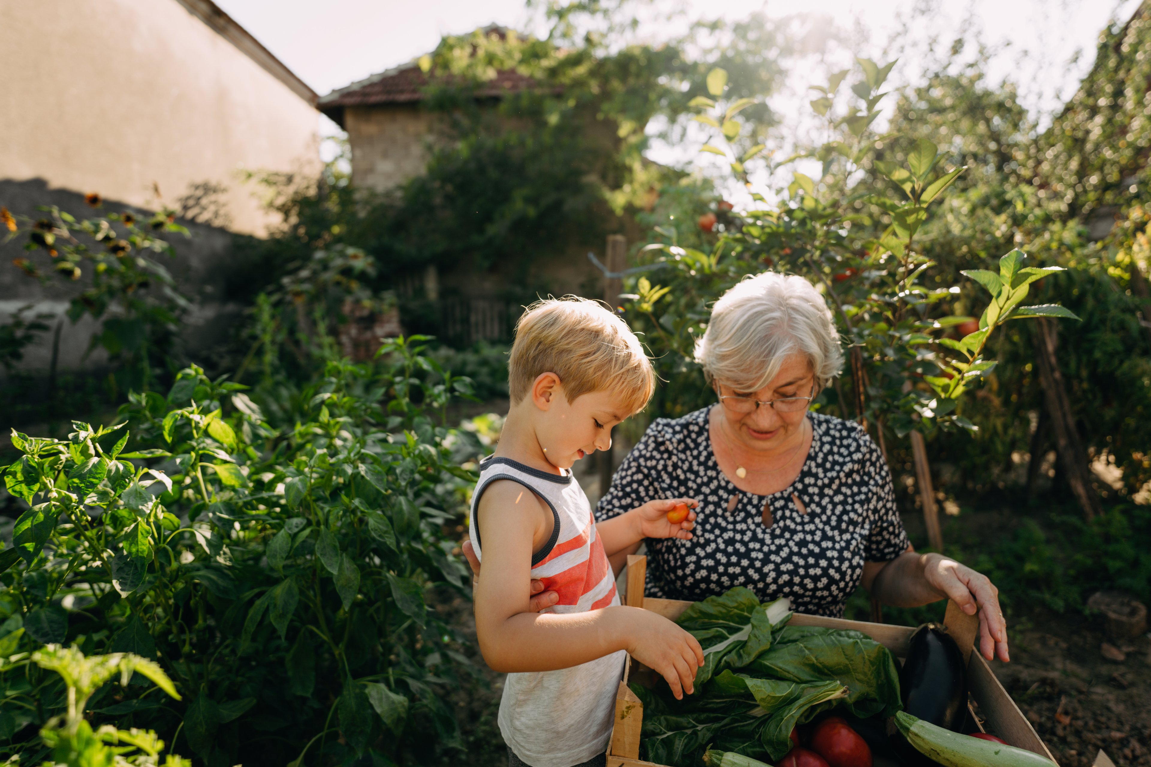 An older woman and a young boy take care of a garden.