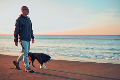 person walking on the beach with a dog