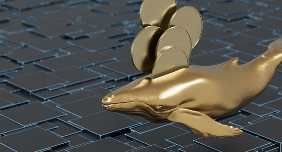 A gold whale with gold coins.