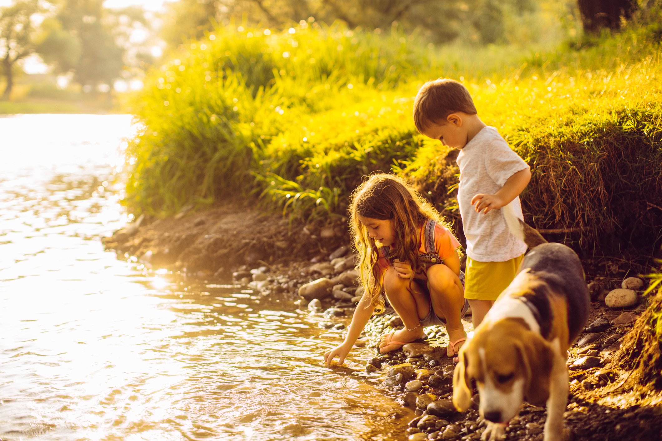 Two children with beagle by a riverbank.