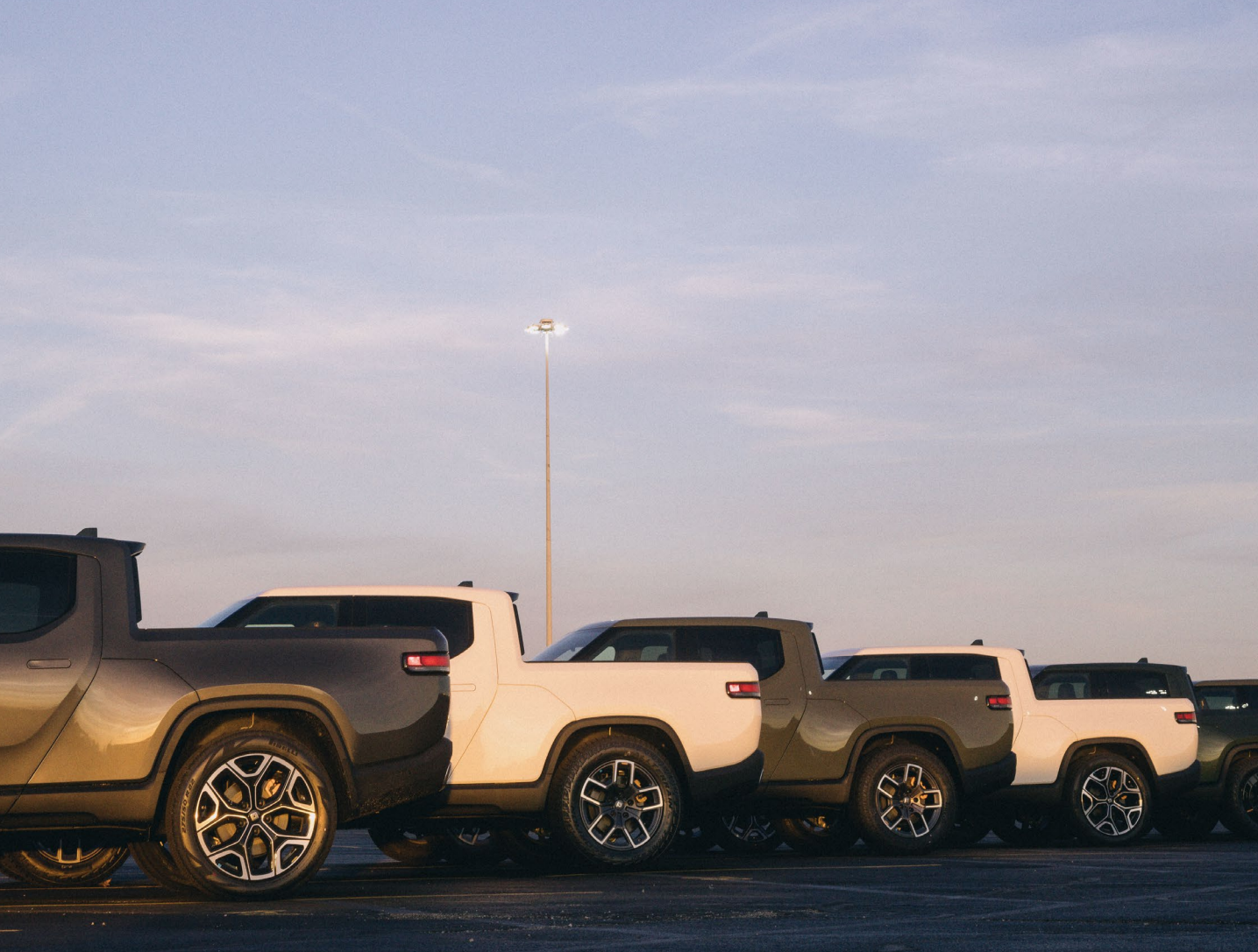 Rivian R1T electric trucks lined up in parking area.