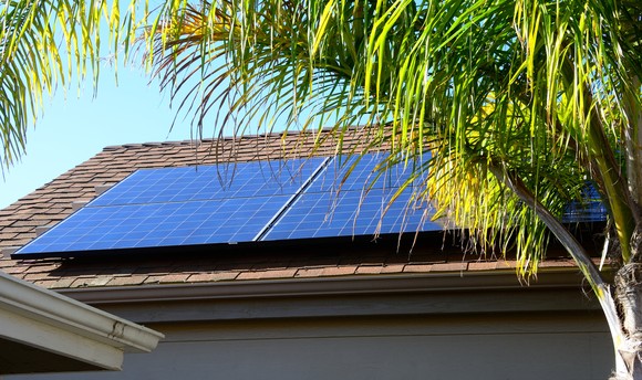 Solar panels on roof with palm tree in foreground.