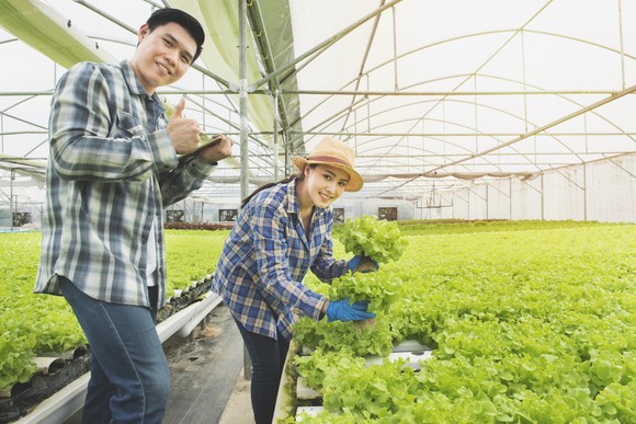 Two people working inside of a greenhouse.