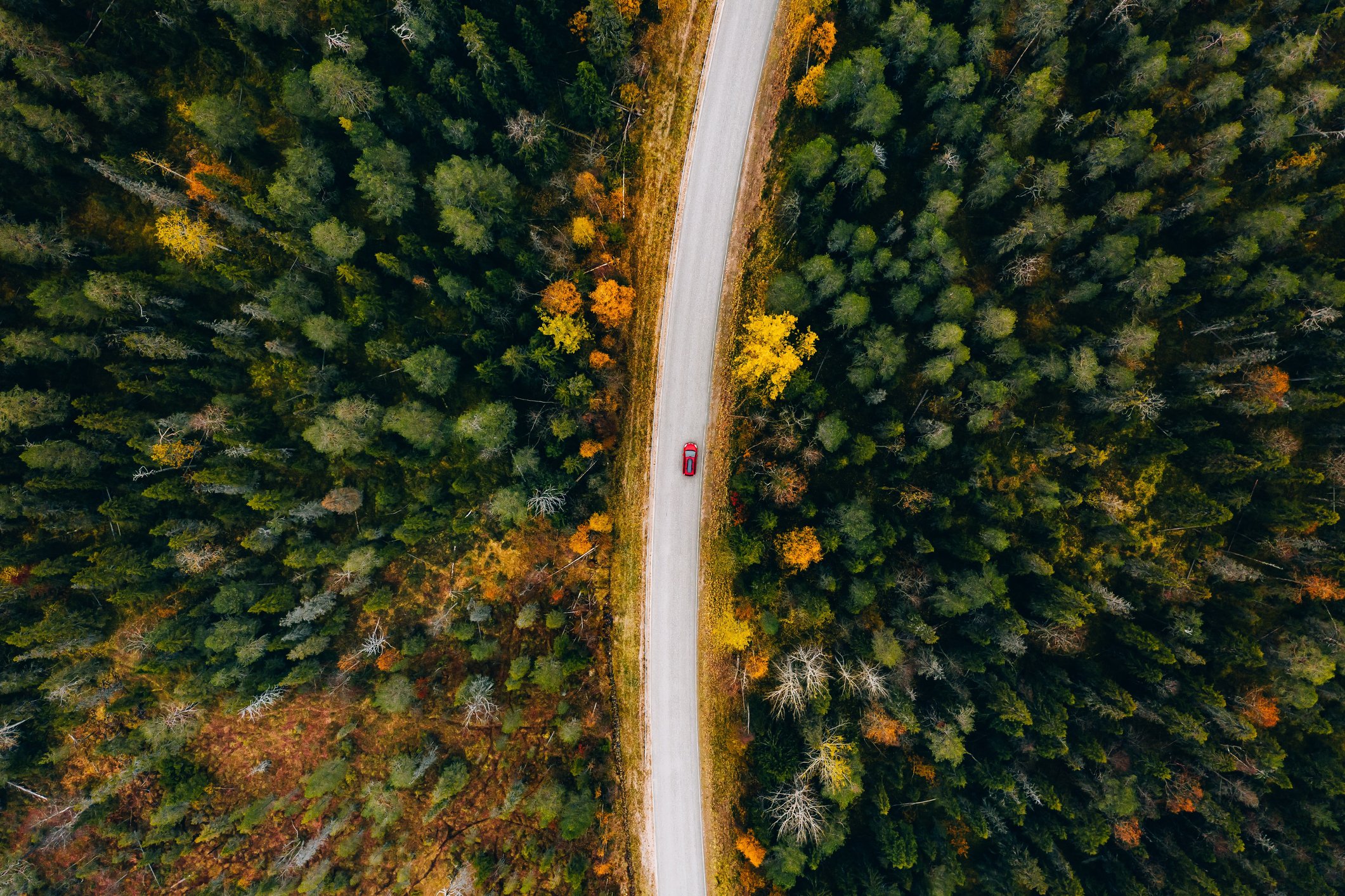 Aerial view of a red car driving on a road through a forest.
