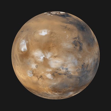 Musk_mars