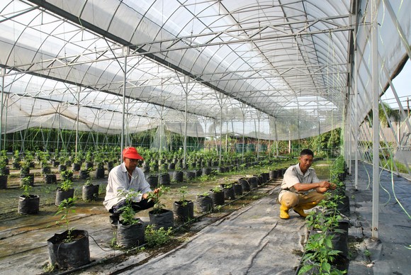 Two people working at a greenhouse.
