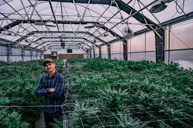Person standing in a greenhouse.