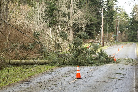 A downed power line from a tree falling.