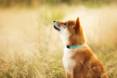 GettyImages-1320101632