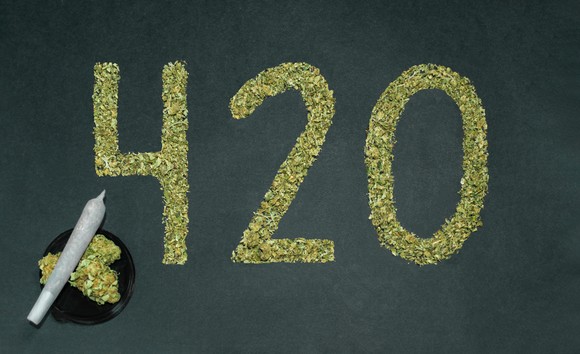marijuana with 420 showing, celebrating April 20 day.