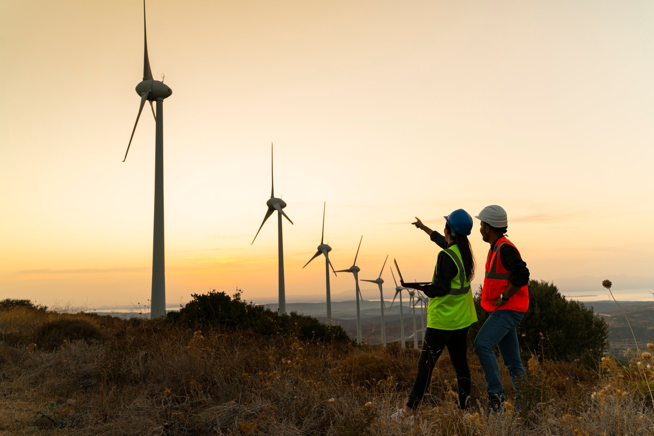Two workers looking at  a long line of wind turbines.