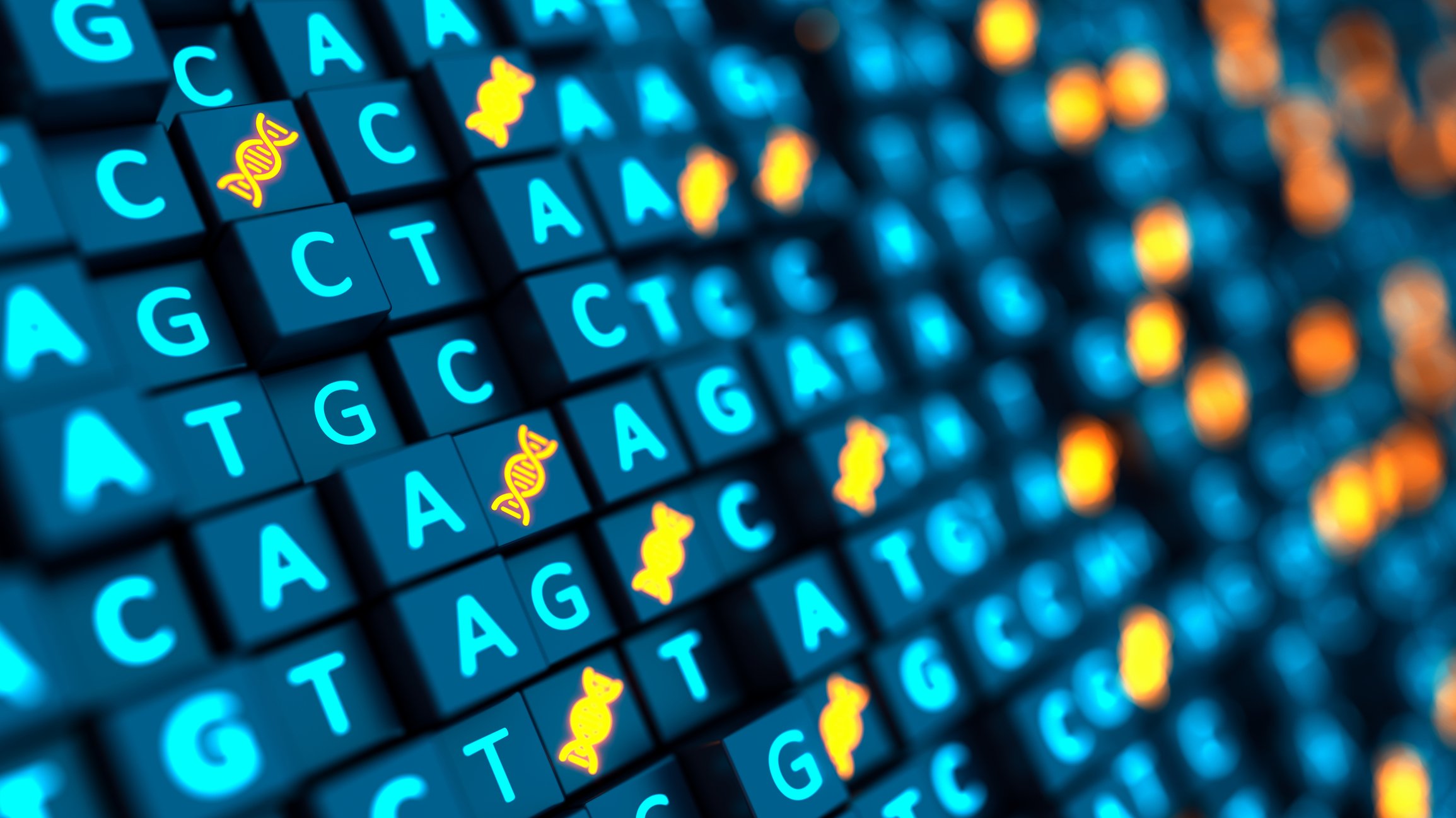 A genome sequencing readout.
