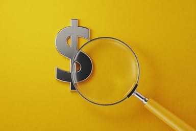 A magnifying glass over a dollar sign.