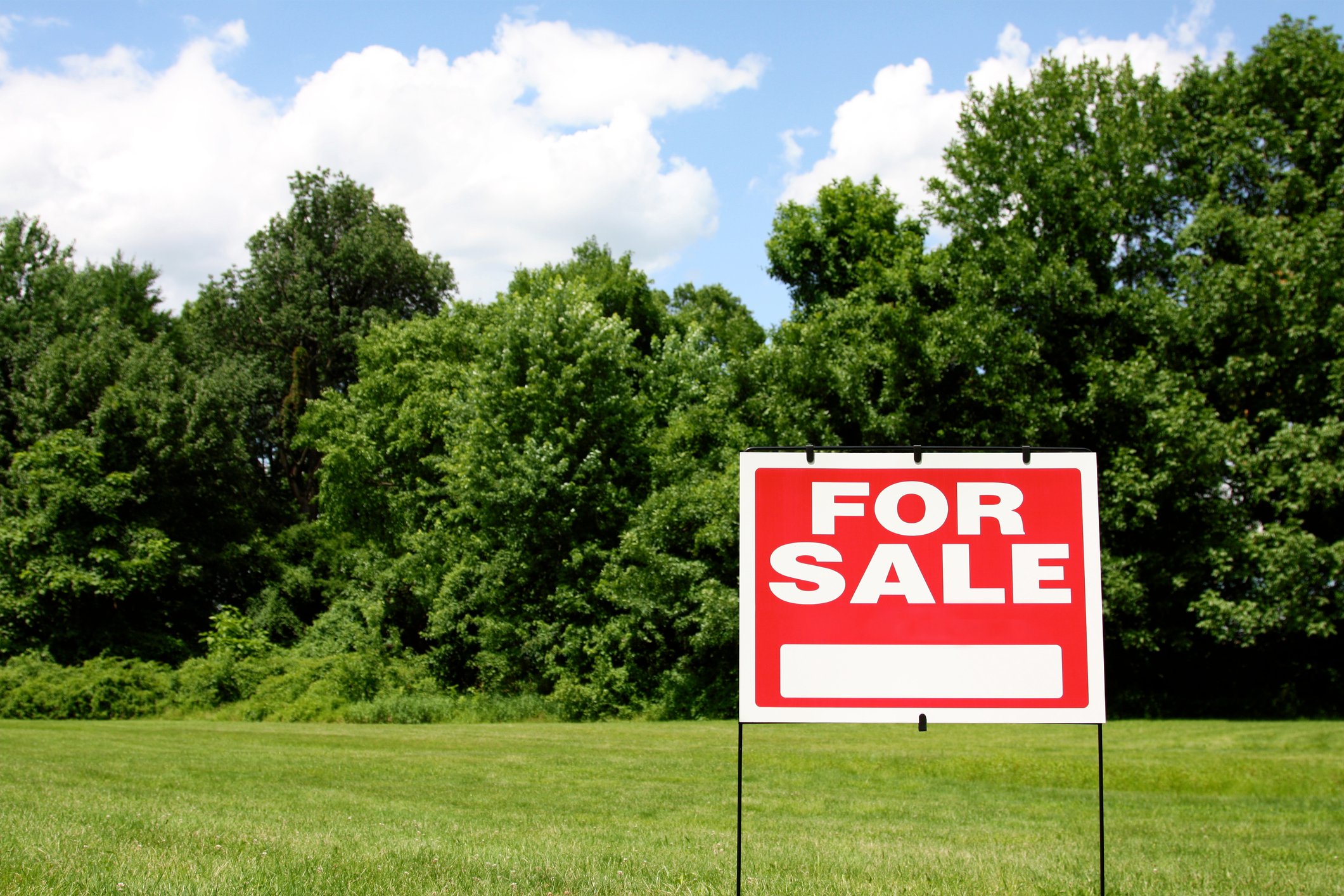 For sale sign in front of vacant land with grass and trees.