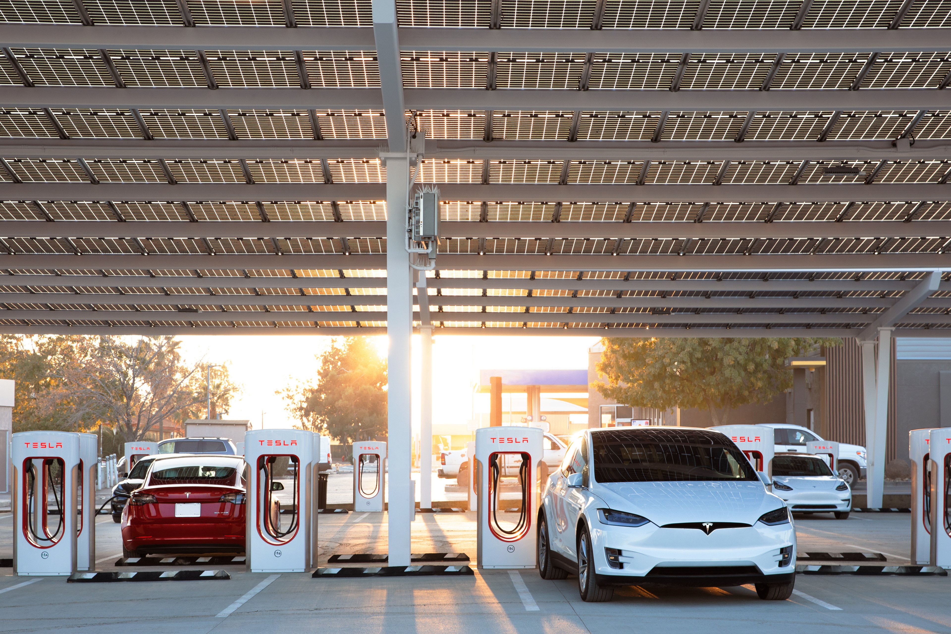 White and red Teslas at Supercharger station.