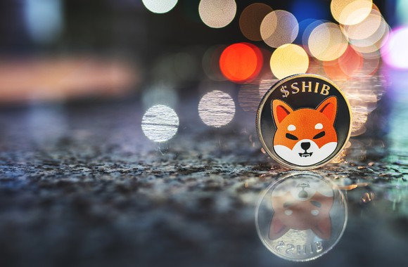 A Shiba Inu token logo.