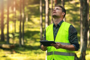A person working in timberlands with a tablet.