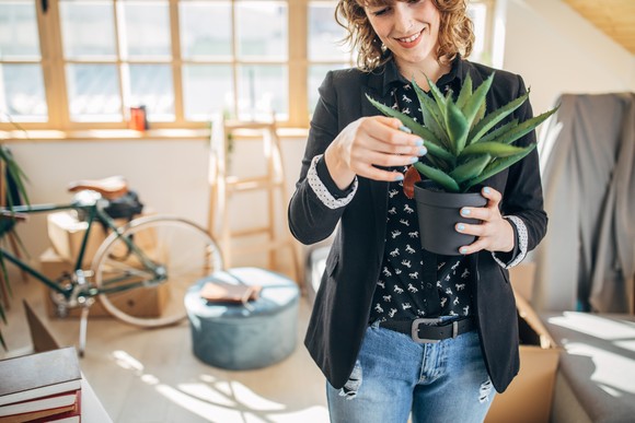 Someone in a home office holding a potted plant.