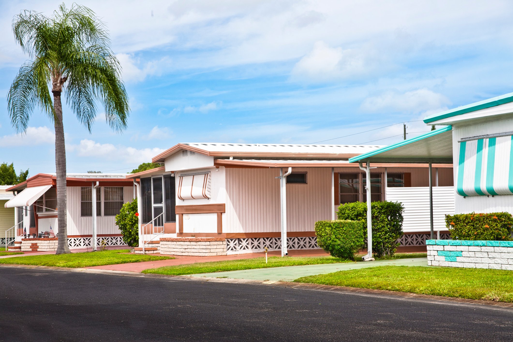Three mobile homes in a community with a palm tree in the foreground.