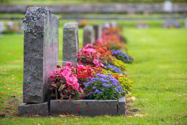 Cemetery - GettyImages-1178101696