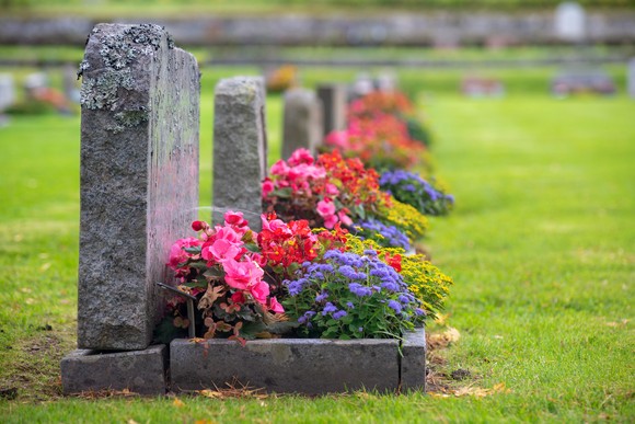 Flowers placed on several gravesites in a cemetery. 