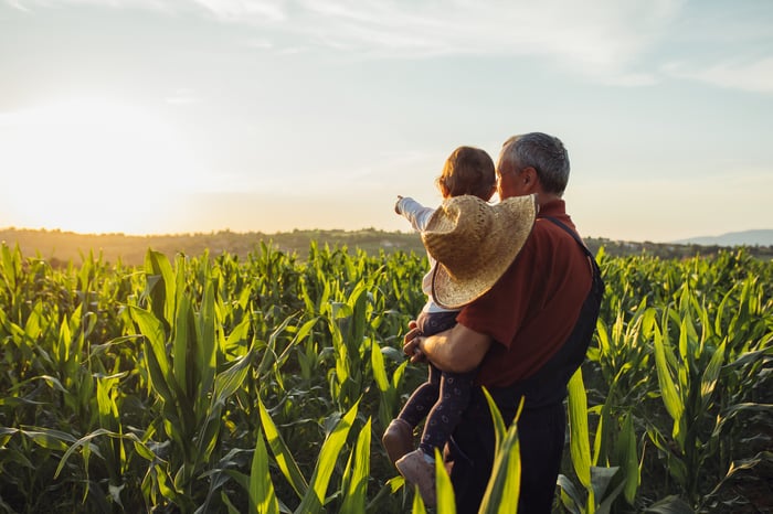 Two people in a corn field, one pointing into the distance.