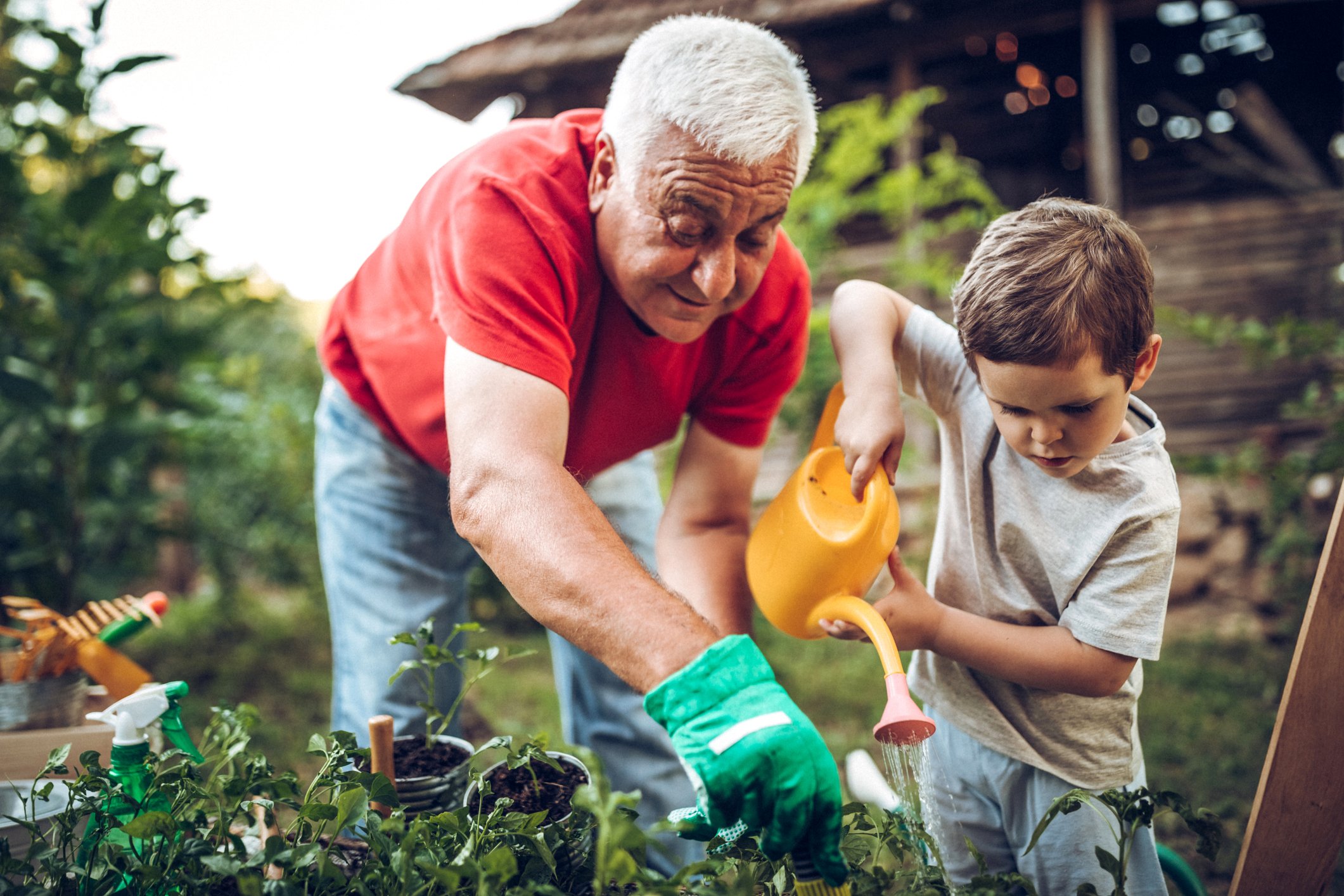 Two people watering plants.