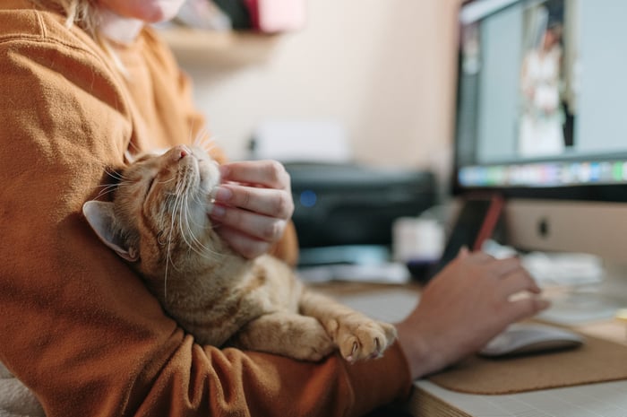 A pet owner holding a cat while using a computer.