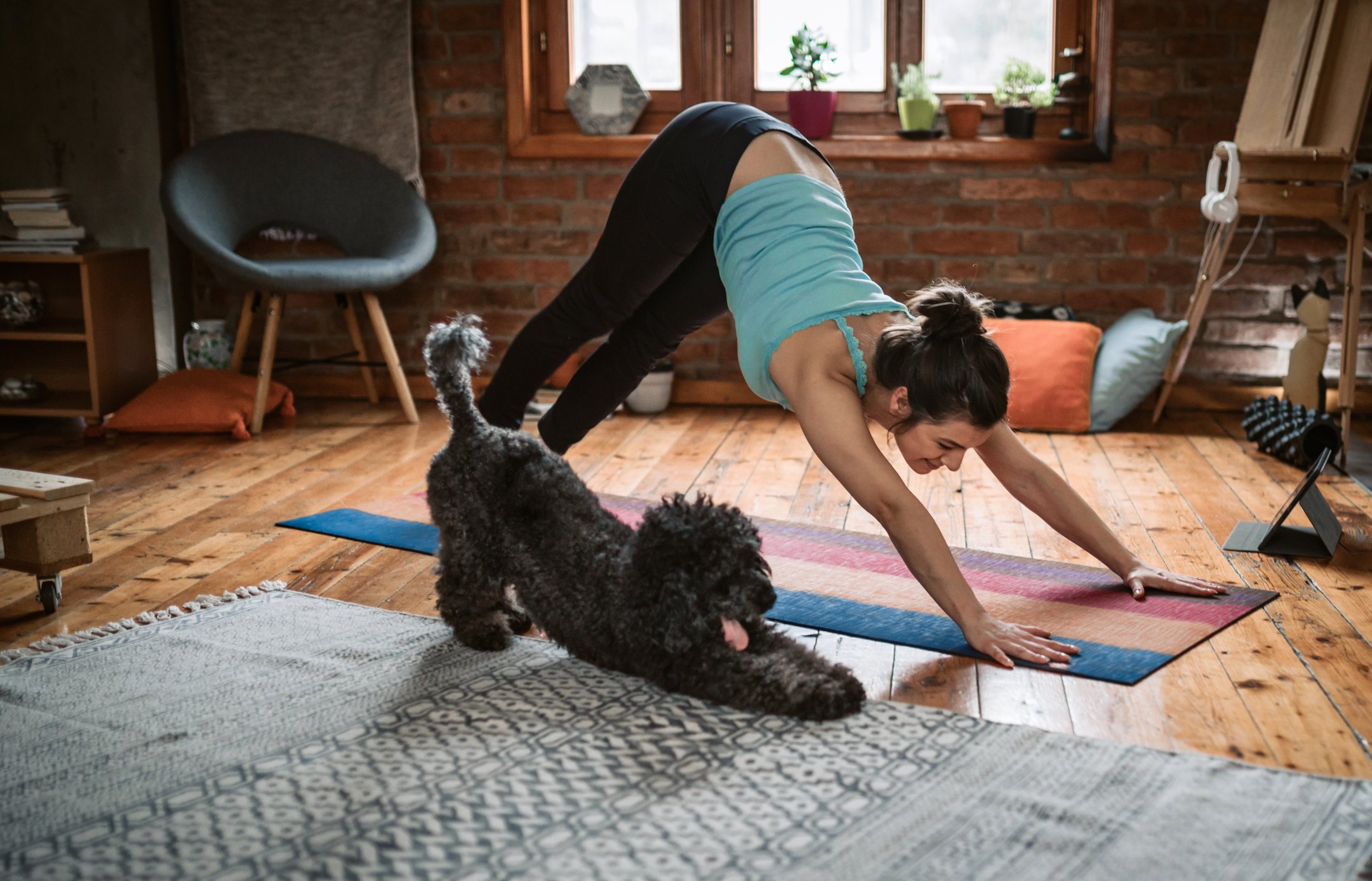 Woman doing yoga with dog. 
