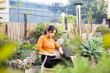 Investor rooftop garden