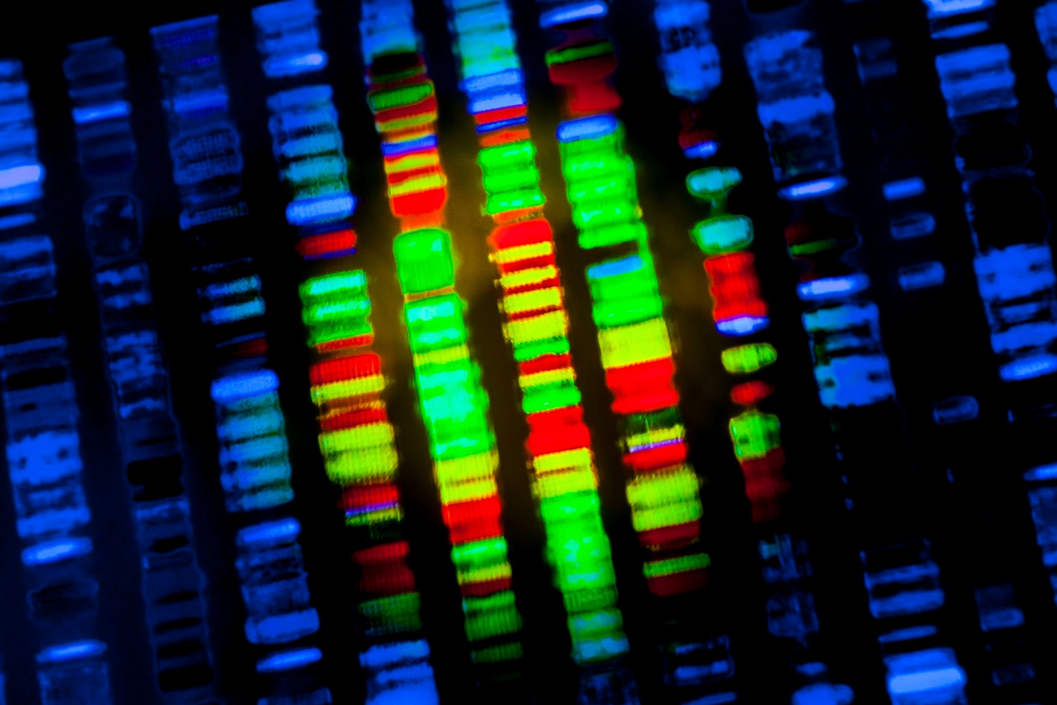 DNA sequence genetics test genomics